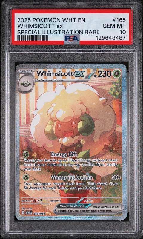 cardshq279429