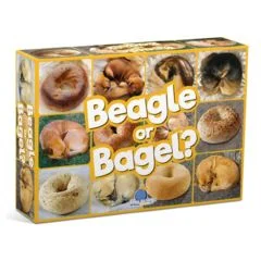 gamesofberkeley2913005